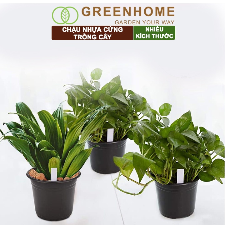 Chậu nhựa trồng cây Greenhome, nhiều size, nhựa cứng, thoát nước tốt, đa dạng kích thước trồng cây, hoa, kiểng lá