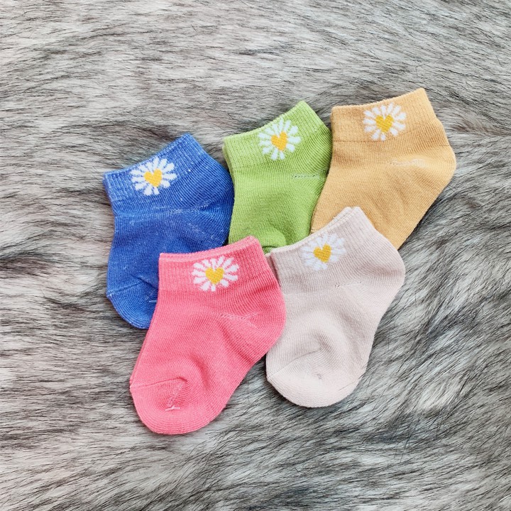 Set 5 đôi tất vớ cổ thấp cho bé 0-2 tuổi chất cotton nhẹ mát 5 màu phối hoa cúc hottrend xinh xắn BBShine – T014