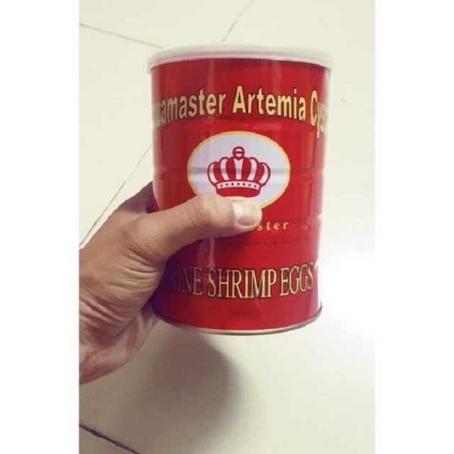 Artemia dành cho cá ấp nở