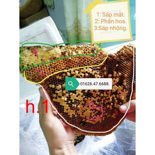 [0.5 Lít] MẬT ONG RỪNG - EAPAL- EAKAR- ĐAK LAK