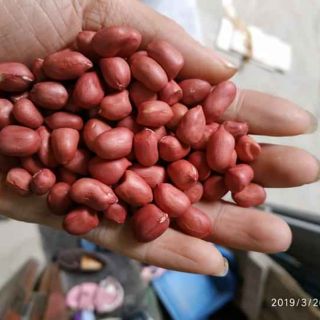 Lạc đỏ bóc tay ngon 69k/1kg