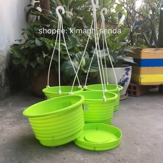 Chậu nhựa treo kèm dĩa size 19cm
