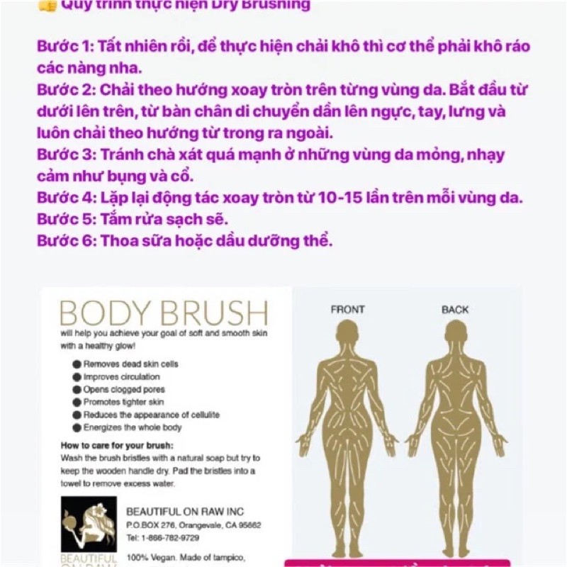 Bàn chải khô tẩy da chết the body shop cactus brush