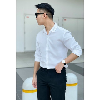 Áo Sơ Mi Trơn Viền Họa Tiết Mẫu Mới Mazzola