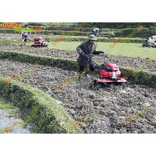 Máy xới đất OSHIMA XDX2 (xăng)
