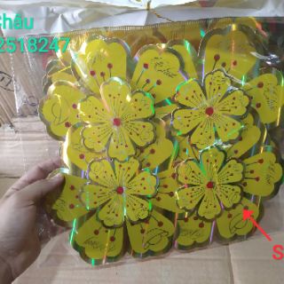 Bông mai dán cửa kính