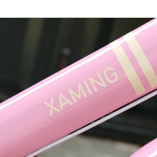 Xe đạp trẻ em Xaming mẫu mới 2022 đủ màu cao cấp cho bé 2-9 tuổi ,size 12-14-16-18-20inch