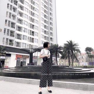 Sét áo phông + quần chấm bi