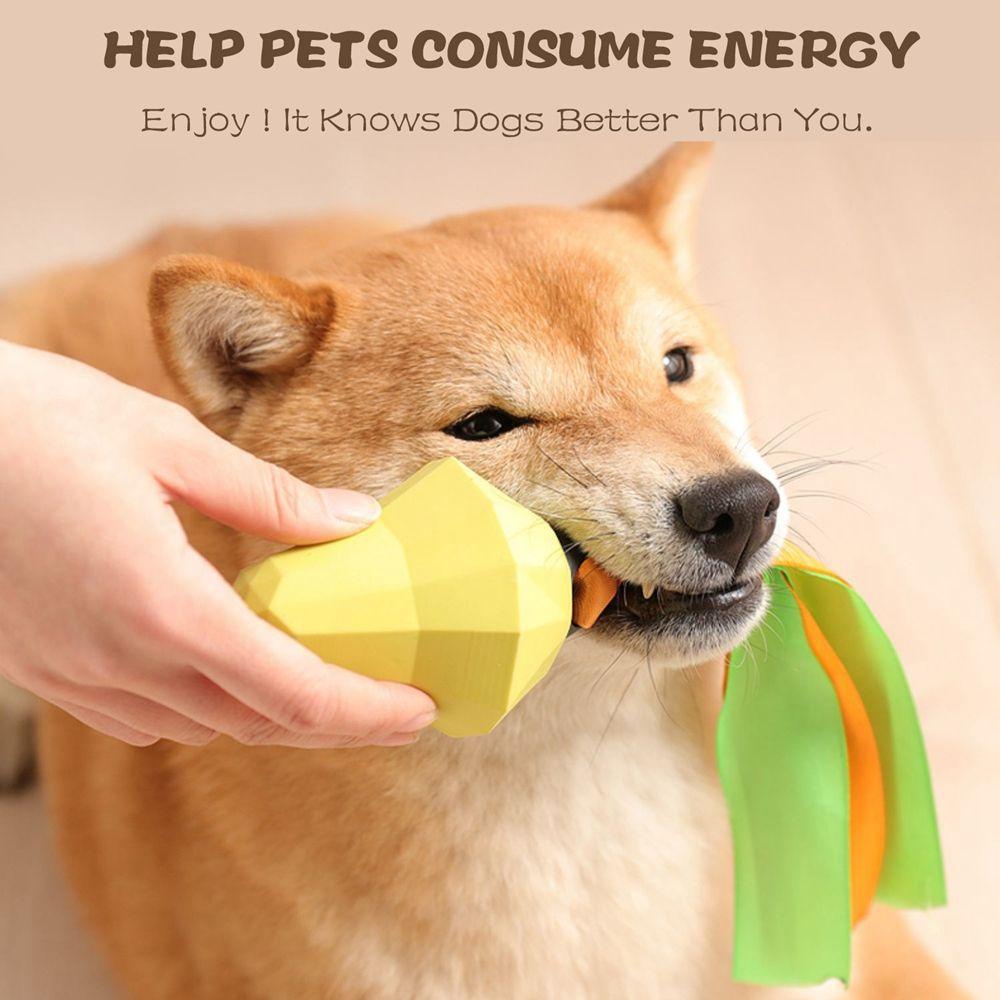 Đồ Chơi Nhai Gặm Hình Trái Cây Cho Thú Cưng