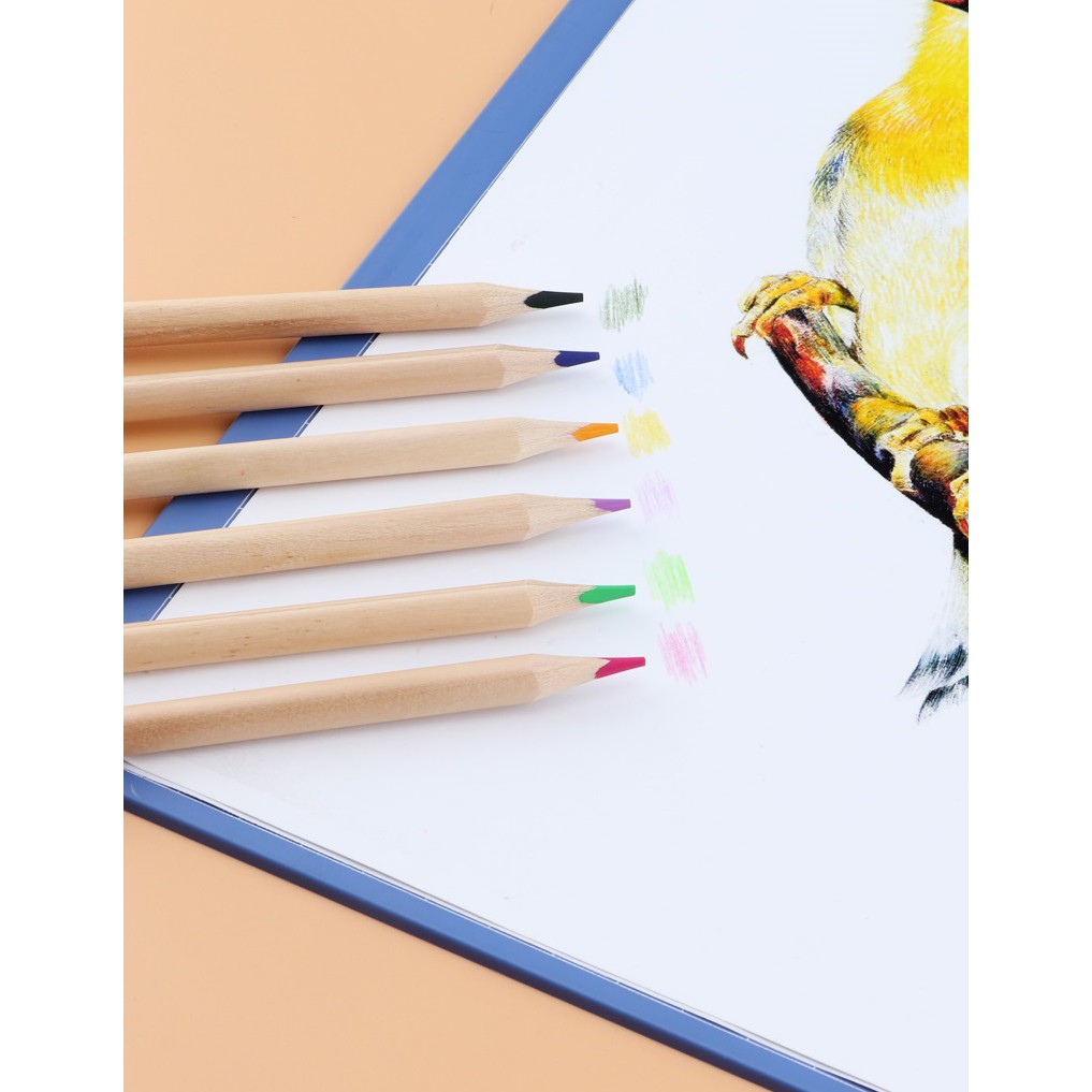 Bút chì màu gỗ cao cấp không sơn hình cô gái BAOKE - có kèm chuốt PO1612 - PO1624 - PO1636 - PO1648