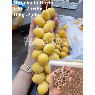 Hạt Giống chà là Barhi - Dòng ăn trái tươi