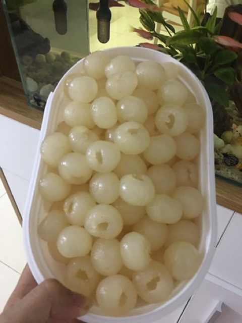 Bút xoáy nhãn, vải tách hạt.