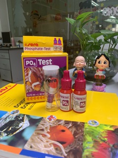 Combo test canxi và PO4 sera Đức