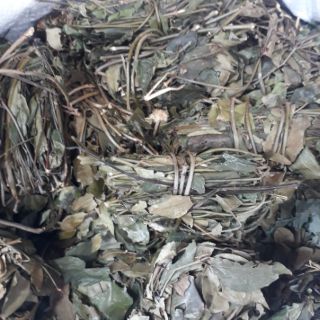 1kg Ngọn chè vằng sẻ cuộn