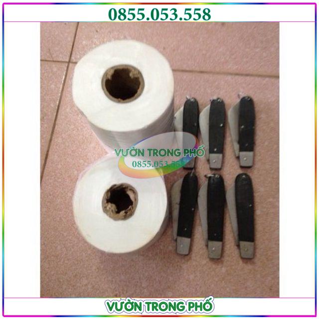 Combo 1 cuộn giấy ghép tự hủy và 1 dao chiết ghép cây