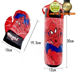 Bộ găng túi Boxing cho bé Homegreen mẫu mới