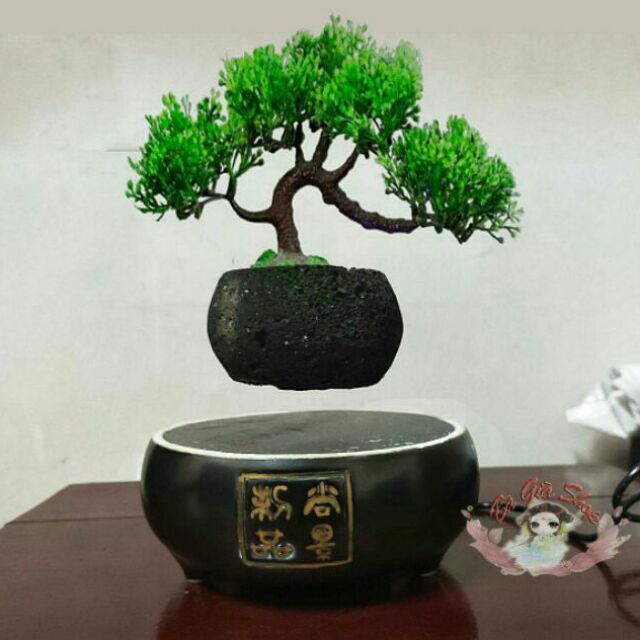 Chậu hoa lơ lửng chậu bonsai bay