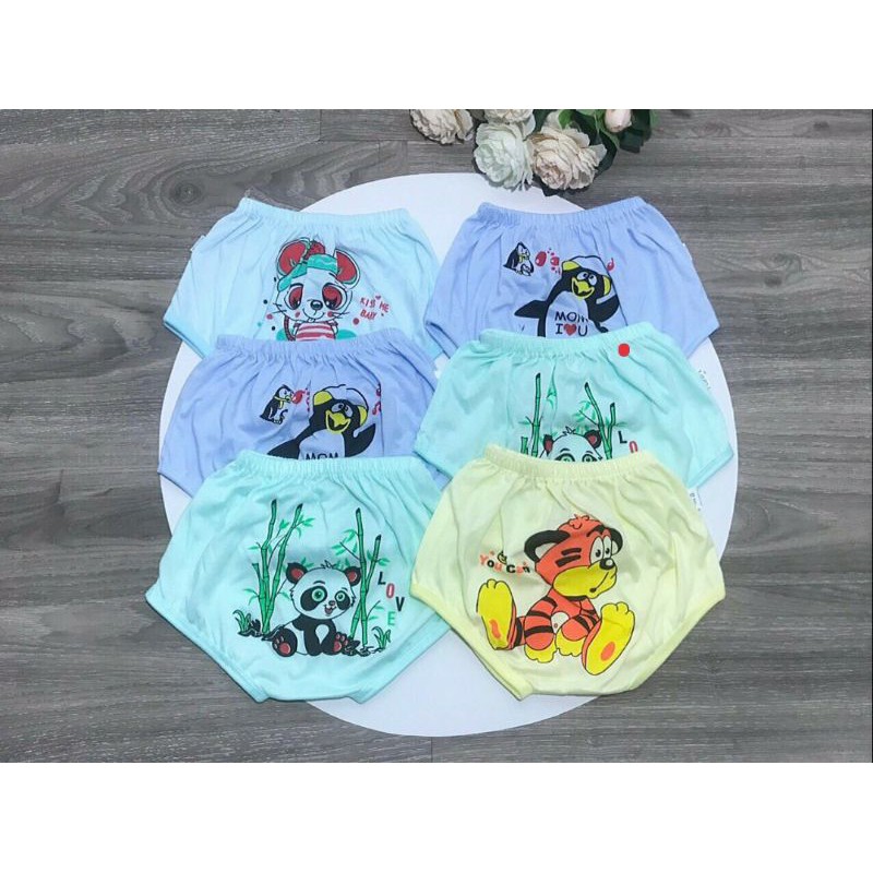 Quần chục chíp mông thú cotton ( 10 quần)