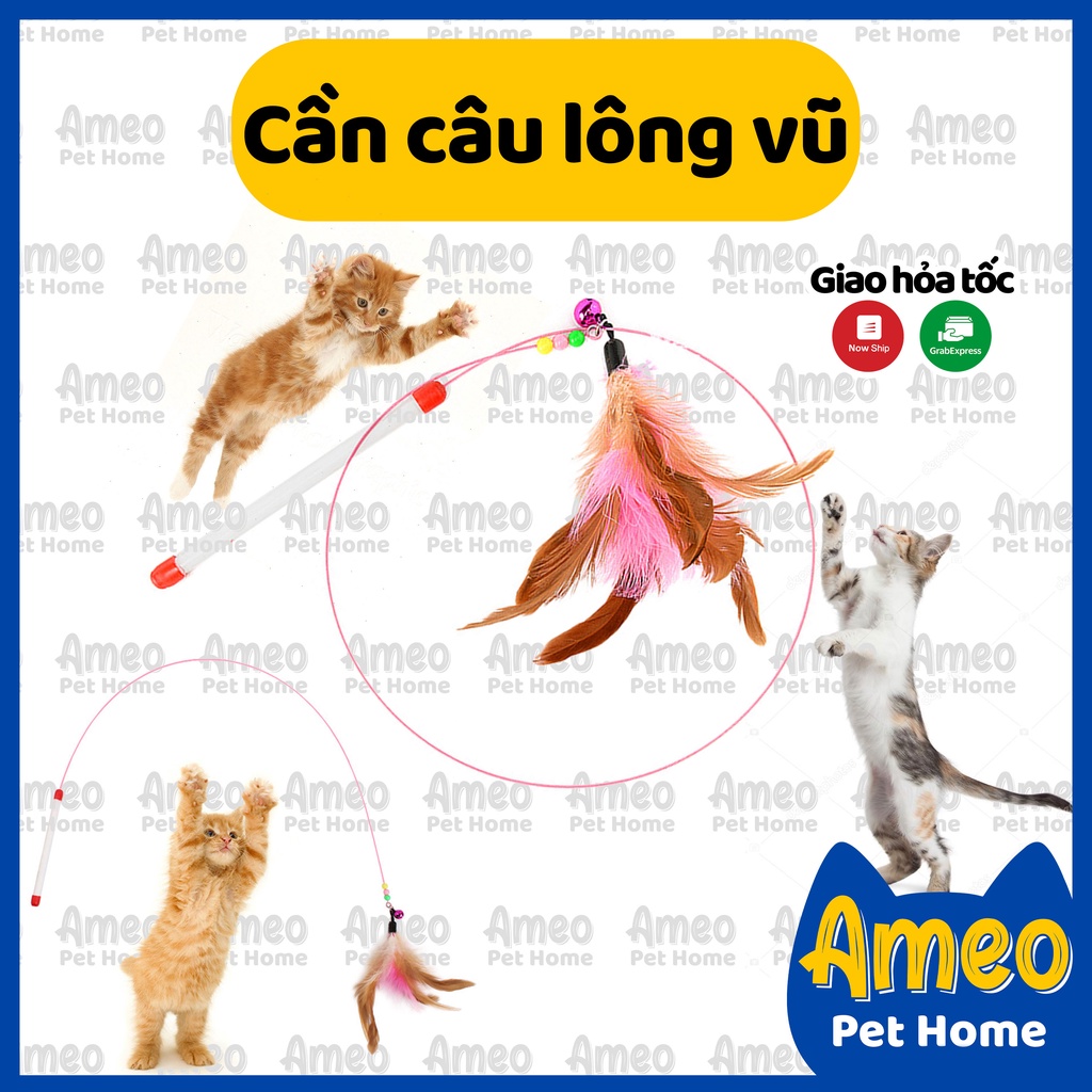 Cần câu mèo dây thép | cần câu mèo lông vũ | đồ chơi cho mèo - Ameo Pet Home