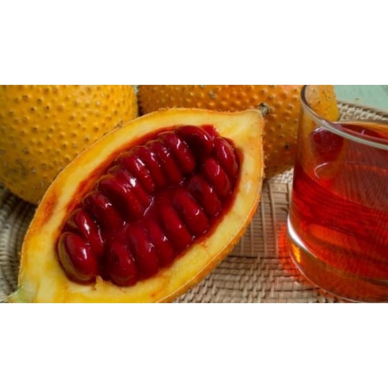 TINH DẦU GẤC HANDMADE NHÀ BỘT