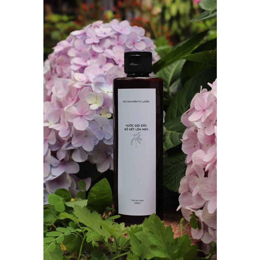 NƯỚC GỘI ĐẦU BỒ KẾT LÊN MEN-SẢN PHẨM TỪ VƯỜN