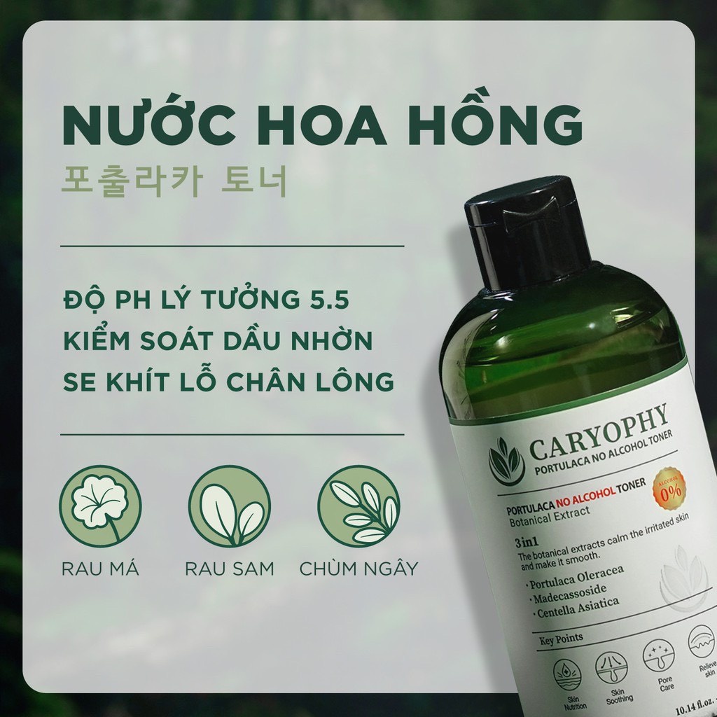 MINI Nước Hoa Hồng Giảm Mụn Caryophy Portulaca Toner 50ml