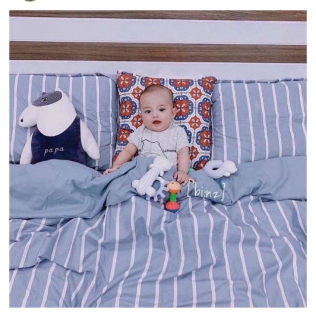 Cotton poly kẻ xanh
