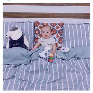 Cotton poly kẻ xanh
