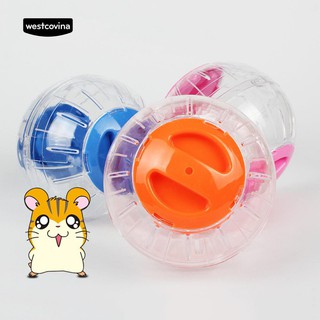 Bóng lăn đồ chơi cho chuột Hamster