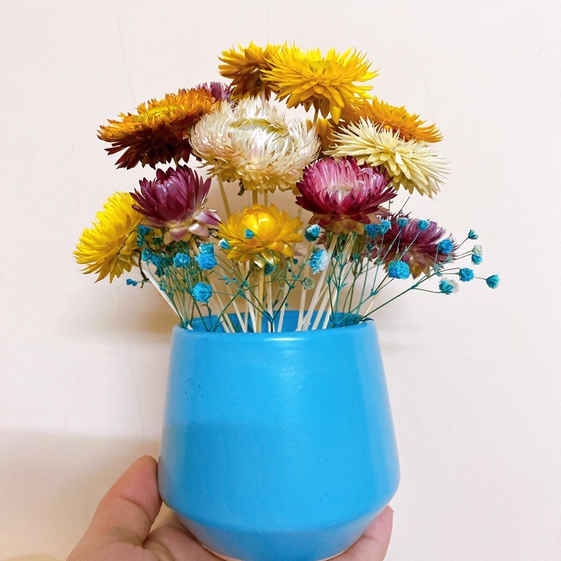 Lọ hoa cúc bất tử mix baby cực xinh (Size lớn)