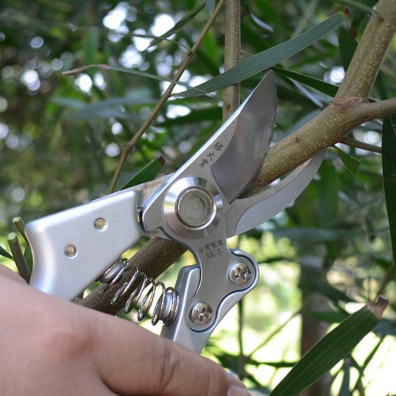 Kéo cắt cành cây, tỉa cây cảnh lưỡi cong SK-5 công nghệ nhật bản