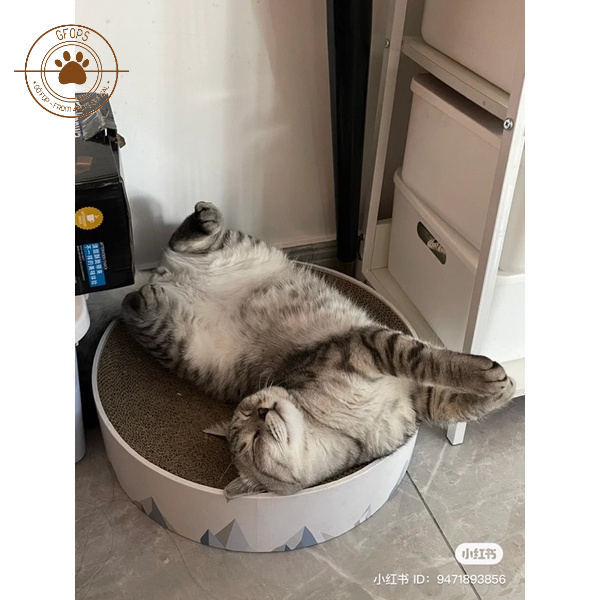 Cào móng kết hợp ổ nằm cho mèo đa dạng mẫu được yêu thích nhất - 4pets official