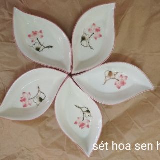 SÉT ĐĨA THUYỀN 5 CÁNH
