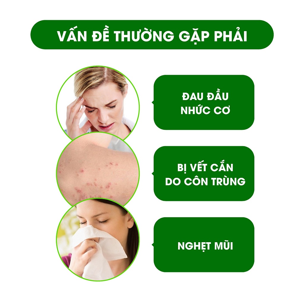 Dầu Lăn Thảo Dược Nhân Sâm Green Herb Oil 8ml Thái Lan