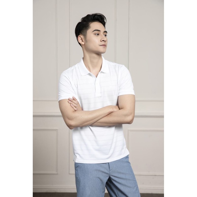 {HÀNG chính hãng }ÁO POLO arisstio kps009s1
