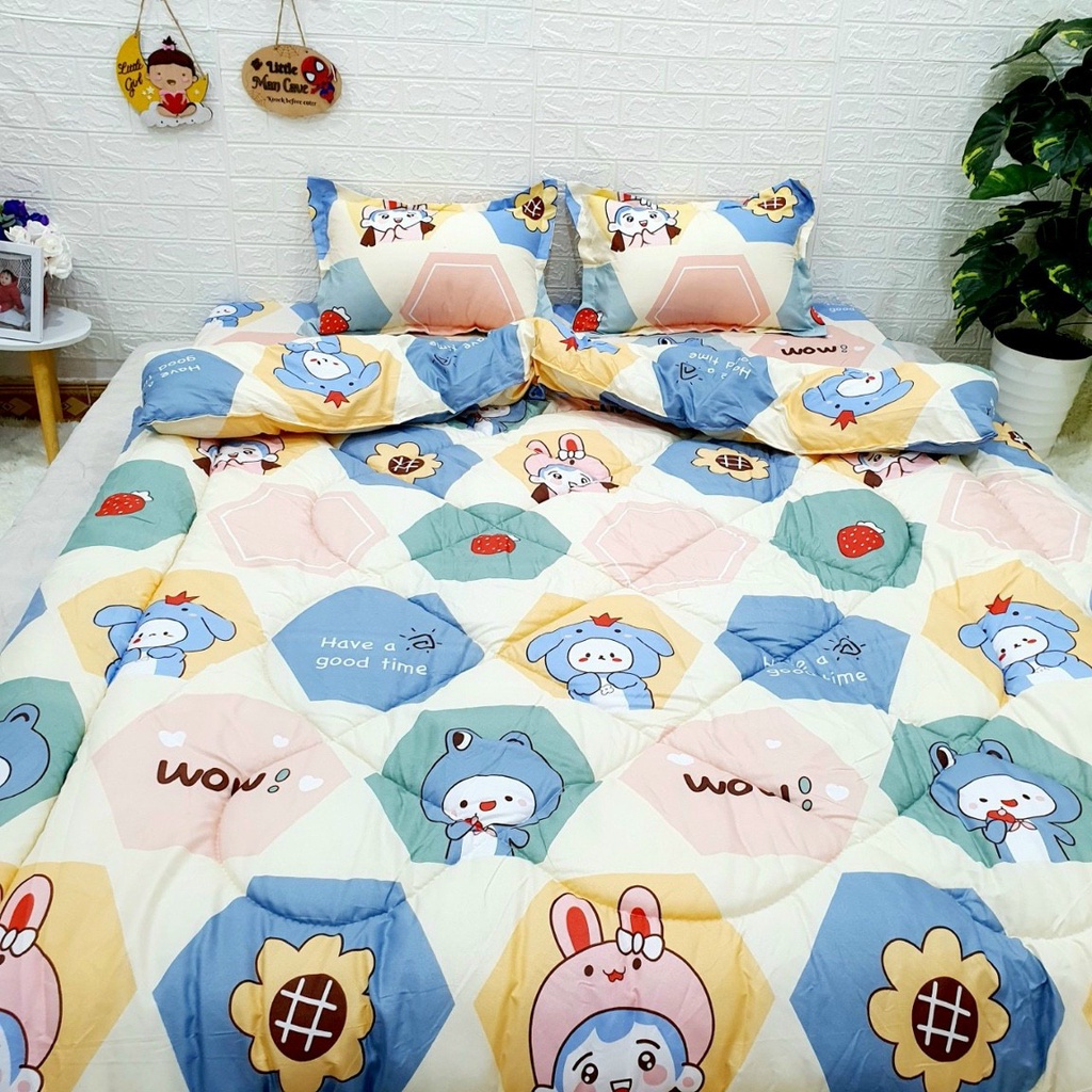 Chăn phao trần bông cotton poly m8x2m ( chát chọn mẫu)