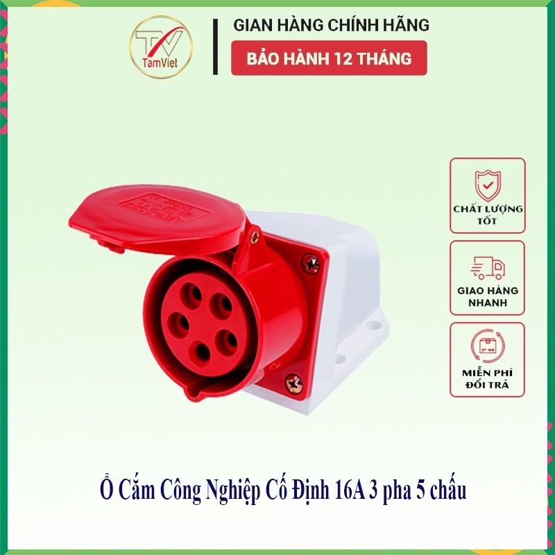 Combo 10 ổ Cắm Công Nghiệp Gắn Tường 1 Pha 16A--32A 3 Chấu 4 chấu 5 chấu (Cố Định)