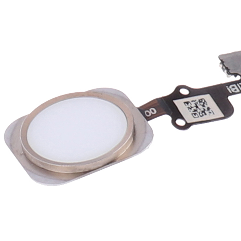 Mạch Nút Home Cho Điện Thoại 6s 6s Plus | BigBuy360 - bigbuy360.vn