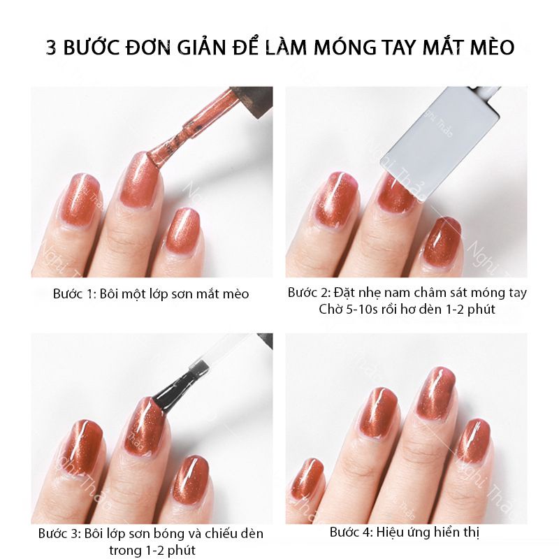 Nam châm mắt mèo