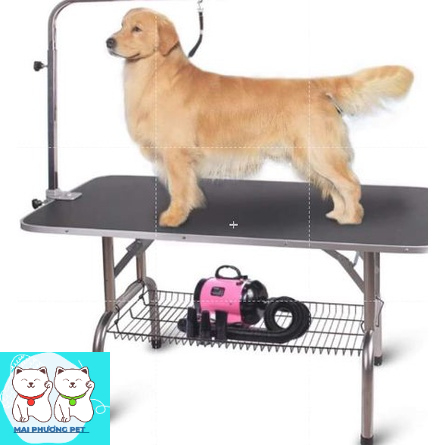 New- Bàn cắt tỉa lông chó mèo 2 size  bàn grooming hình chữ nhật chuyên dùng cho spa grooming thú cưng
