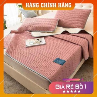 HÀNG HOT Chiếu điều hòa Tencel Latex từ cao su non êm mát hàng nhập