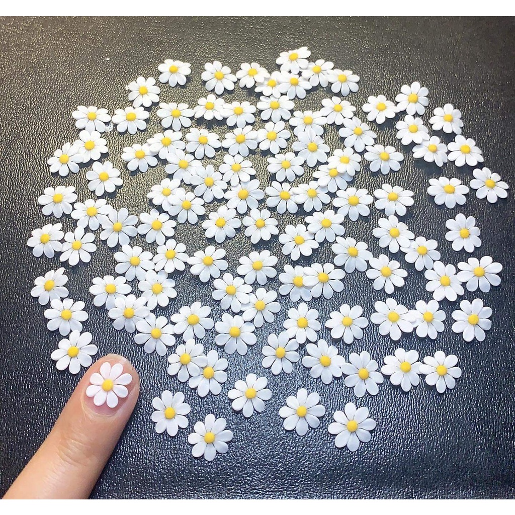 Hoa cúc bột gắn móng nail