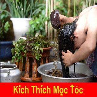 Dầu gội bồ kết thảo dược cô đặc