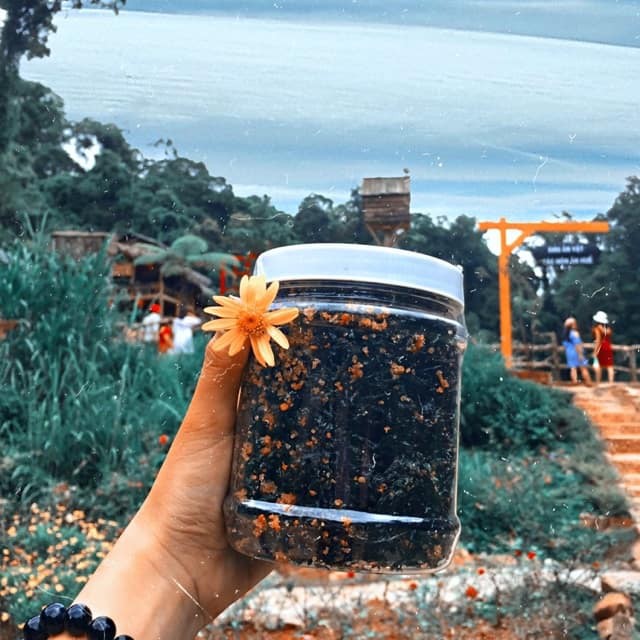 Rong Biển Sấy Hủ 100G - Siêu Ngon