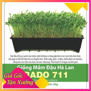 Hạt giống mầm đậu hà lan 50gr