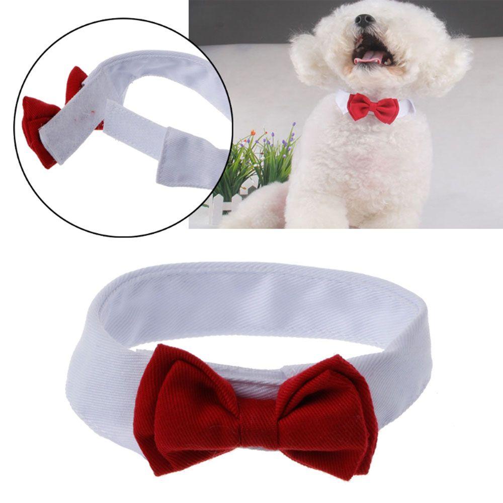 Vòng Cổ ThờI Trang Cho Thú Cưng