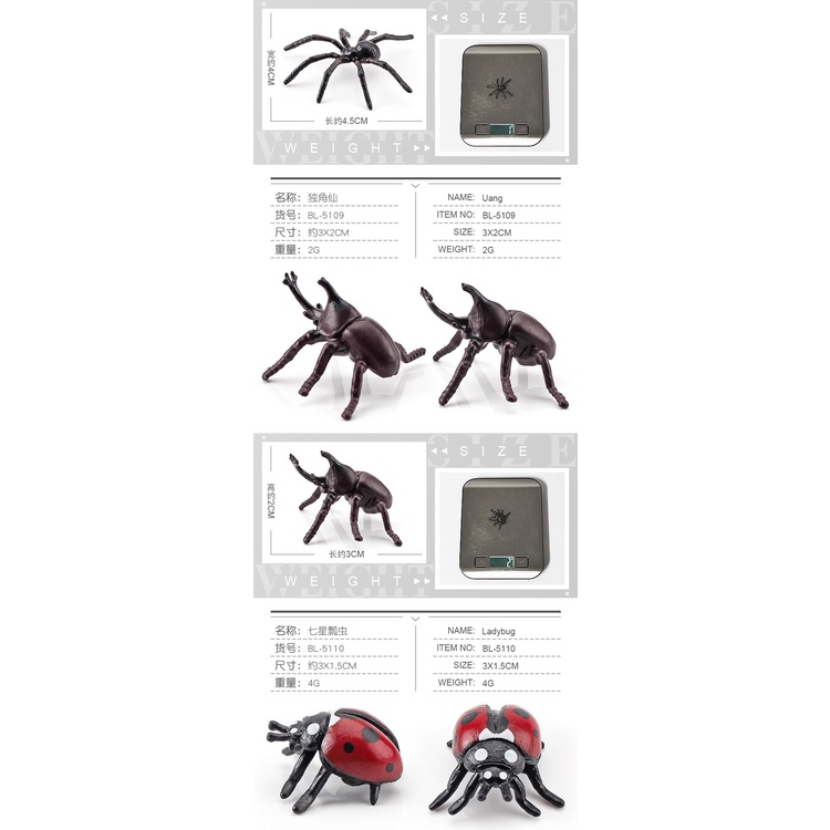 Mô Hình Côn Trùng Bọ Cánh Cứng Giả Lập Cho Bé