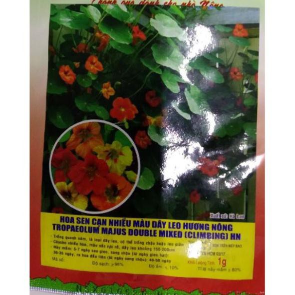 HẠT HOA SEN CẠN NHIỀU MÀU DÂY LEO - GÓI 1 GRAM