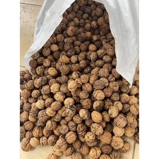 [Lẻ=Sỉ] 1 kg quả óc chó nếp