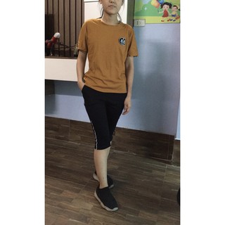 bộ coton nữ 40-60 kg